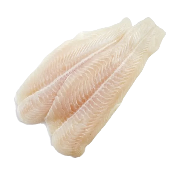 PANGASIUS